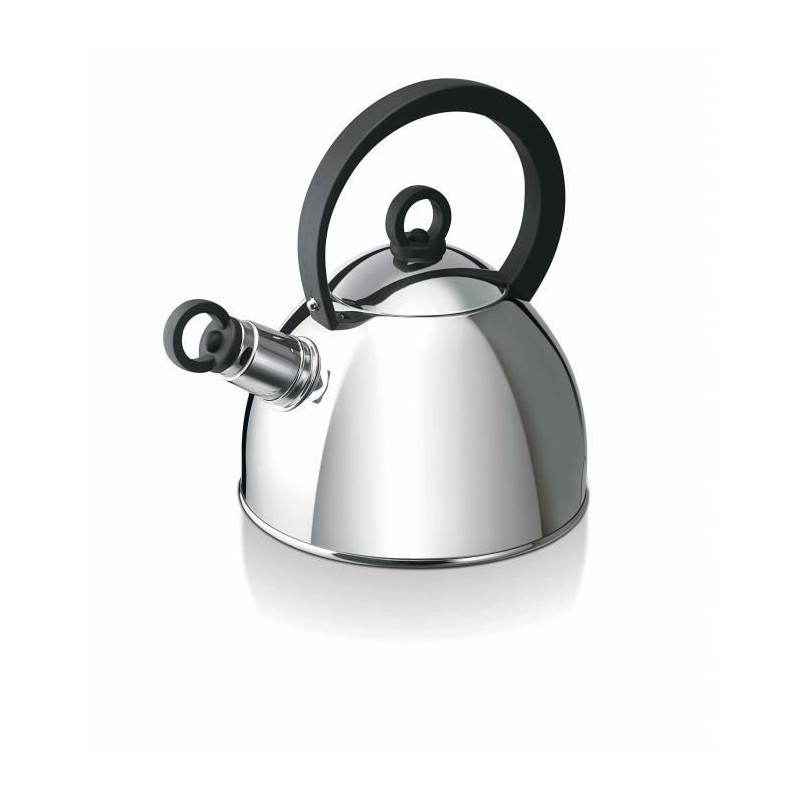 Bouilloire 1L Acier Inox + Théière Intégrée Avec Filtre - Neuve
