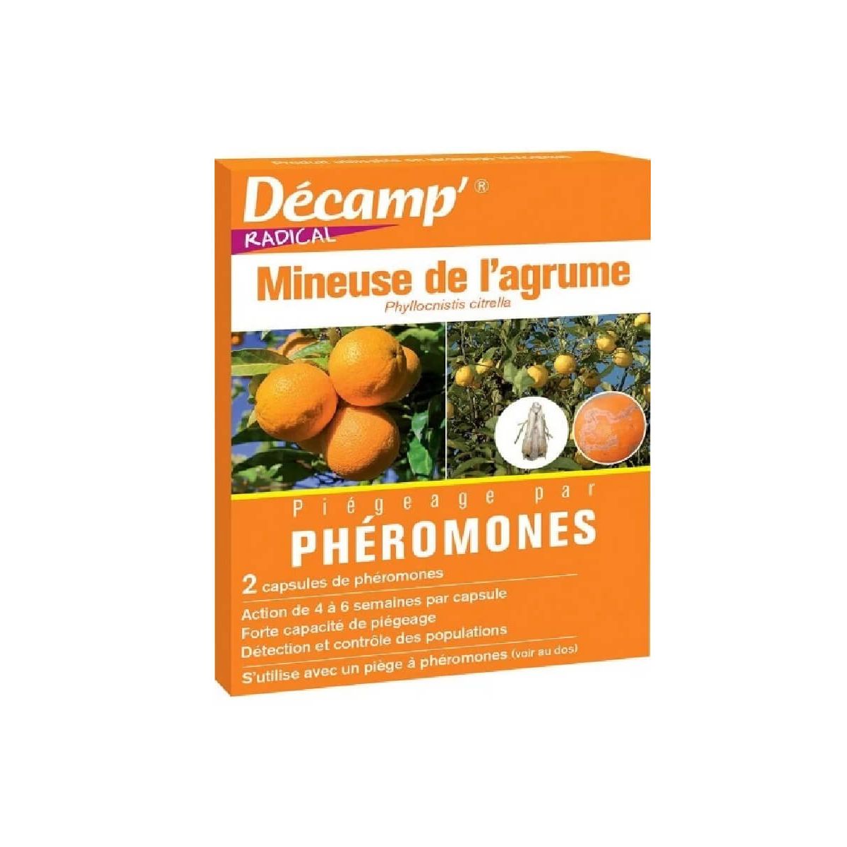 Décamp - Phéromones Contre Le Ver Du Brou De Noix - Piège Insectes Nuisibles Pour Noyers