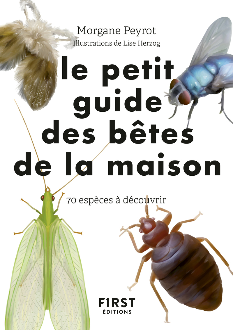 Livre Petit guide d'observation des petites bêtes de la maison Greenweez — free download