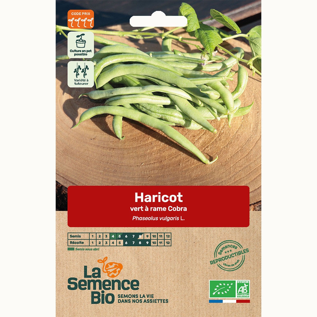 HARICOT vert grimpant Cobra Bio | Greenweez
