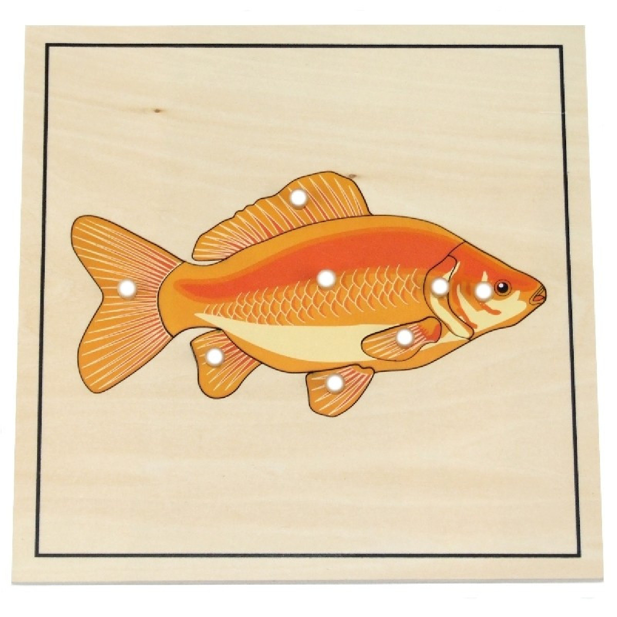 Ambiance Montessori Puzzle du poisson avec squelette | Greenweez