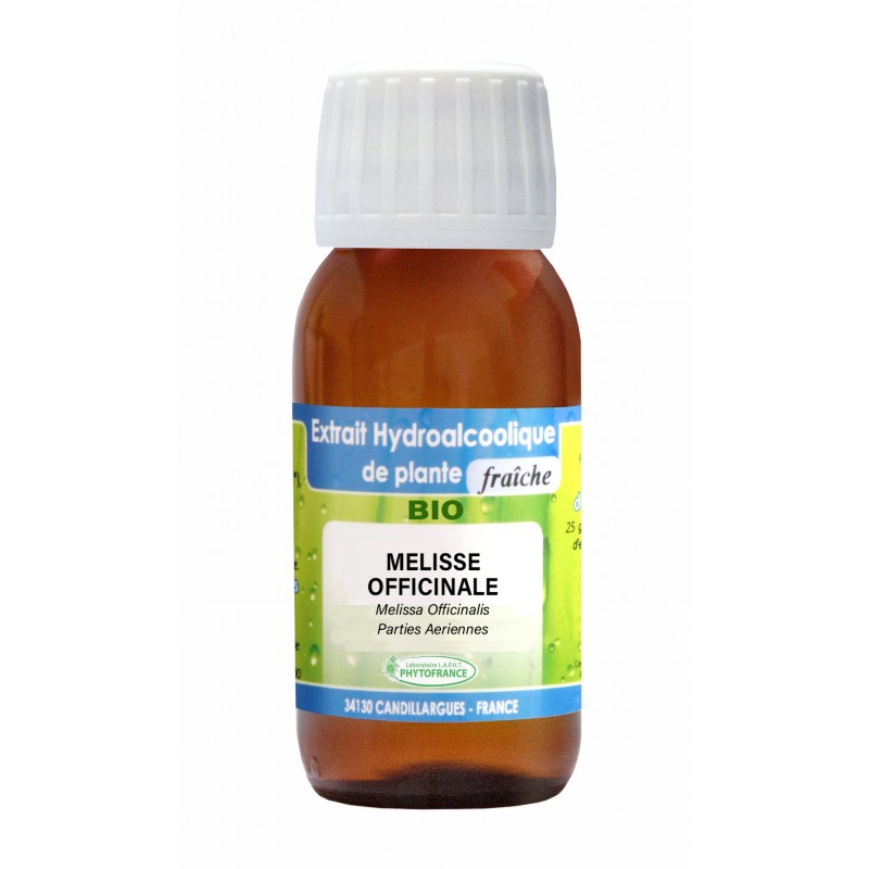 Teinture Mre Melisse Officinale Bio - 125Ml - Phytofrance | Greenweez Teinture Mre Melisse Officinale Bio - 125Ml - Phytofrance | Greenweez