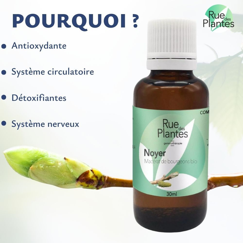 Noyer Gemmothérapie BIO - Marque Cailleau Herboristerie - Complément Alimentaire Naturel - Neuf