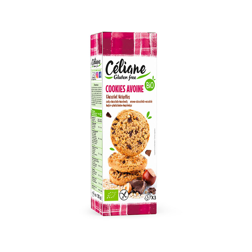 Biscuits d'avoine au chocolat