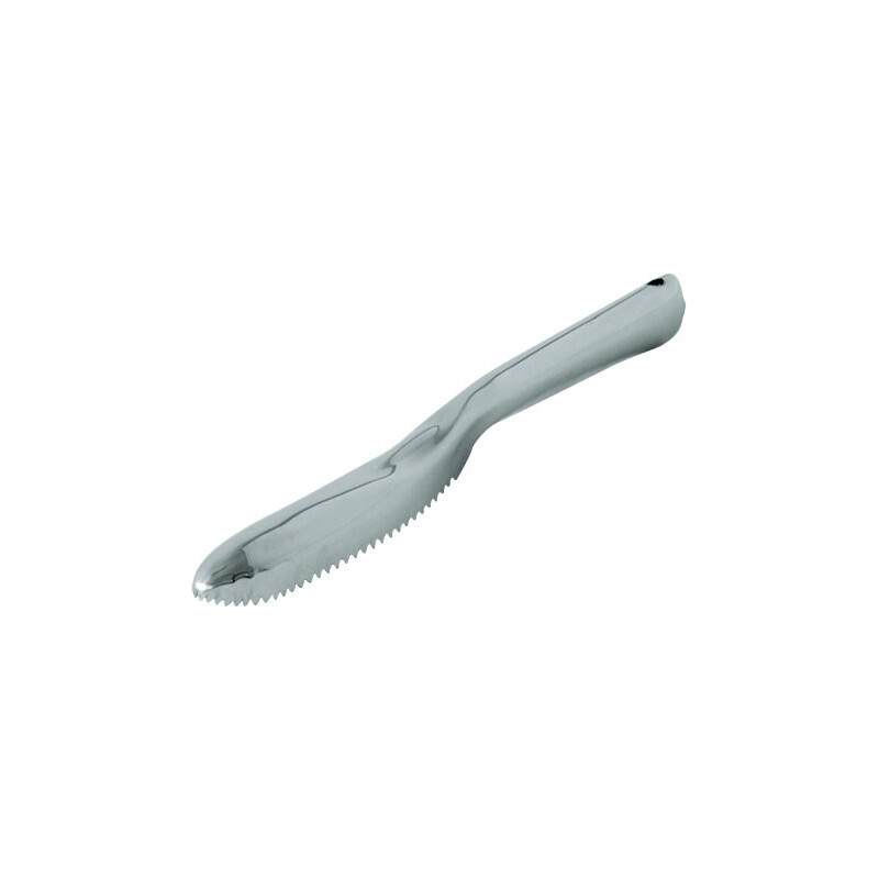 Flores Cortés – Couteau INOX Embout 60 mm