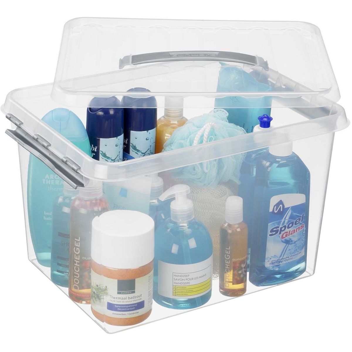 Kit De Lames Préparées Pour Microscope – Verre, 20 Spécimens, Avec Boîte De Rangement En Plastique étiquetée