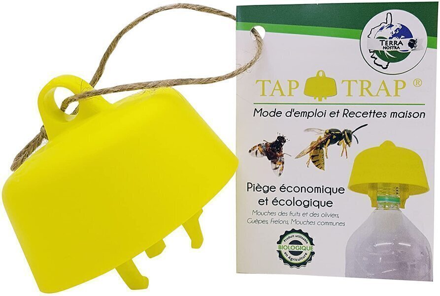 Piège Bouteille Ecologique Guêpe et Frelons avec Recettes Greenweez — free download