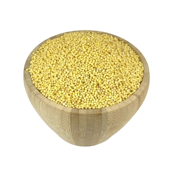 Graines De Colza En Vrac 1kg - Rapskörner - Marque NaturGut - Neuf Emballé