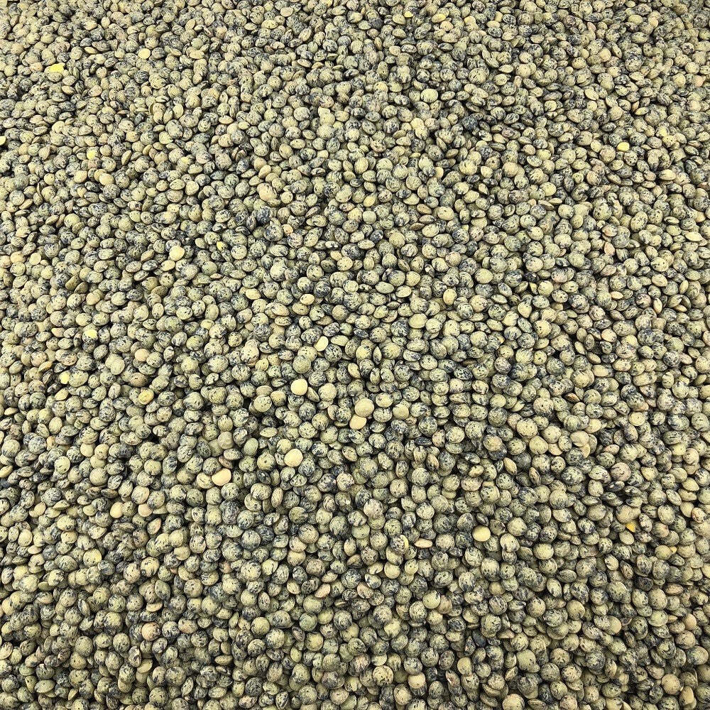 Actibio -- Lentilles bio mélangées façon petit salé Vrac - 5 kg main image 1
