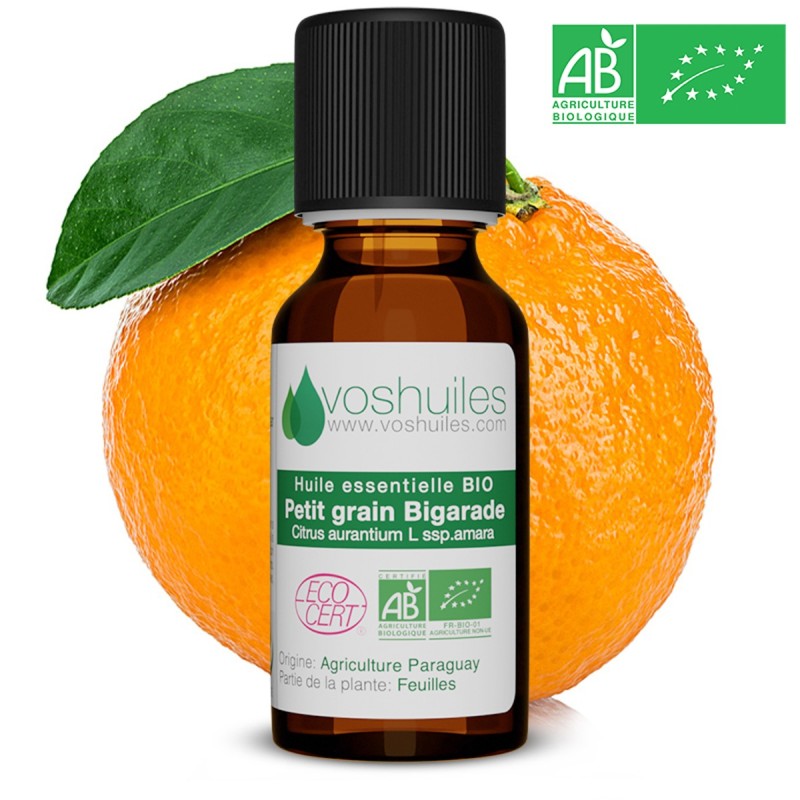 10 Flacons En Verre Ambrés Pour Huiles Essentielles - Capacités 1ml, 2ml, 5ml, échantillons