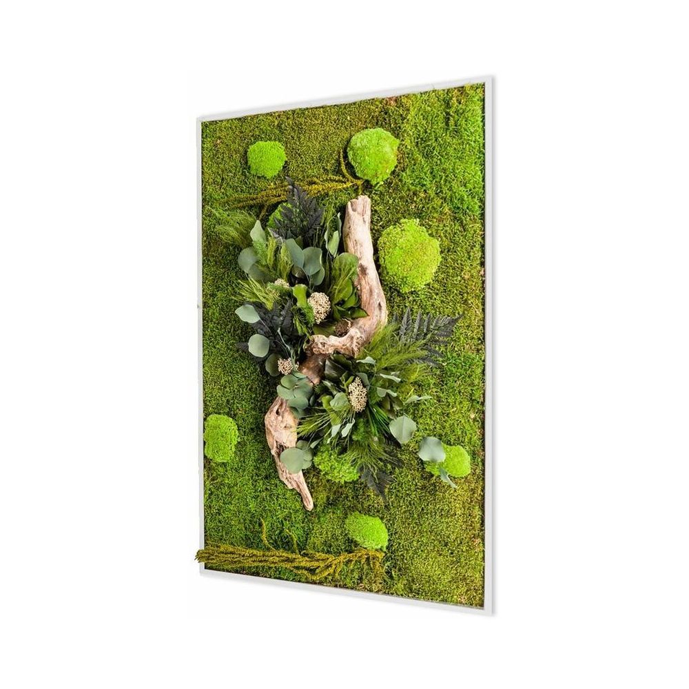 Tableau Rectangle Tableau végétal gamme nature, rectangle L 40 x 90 cm | Greenweez