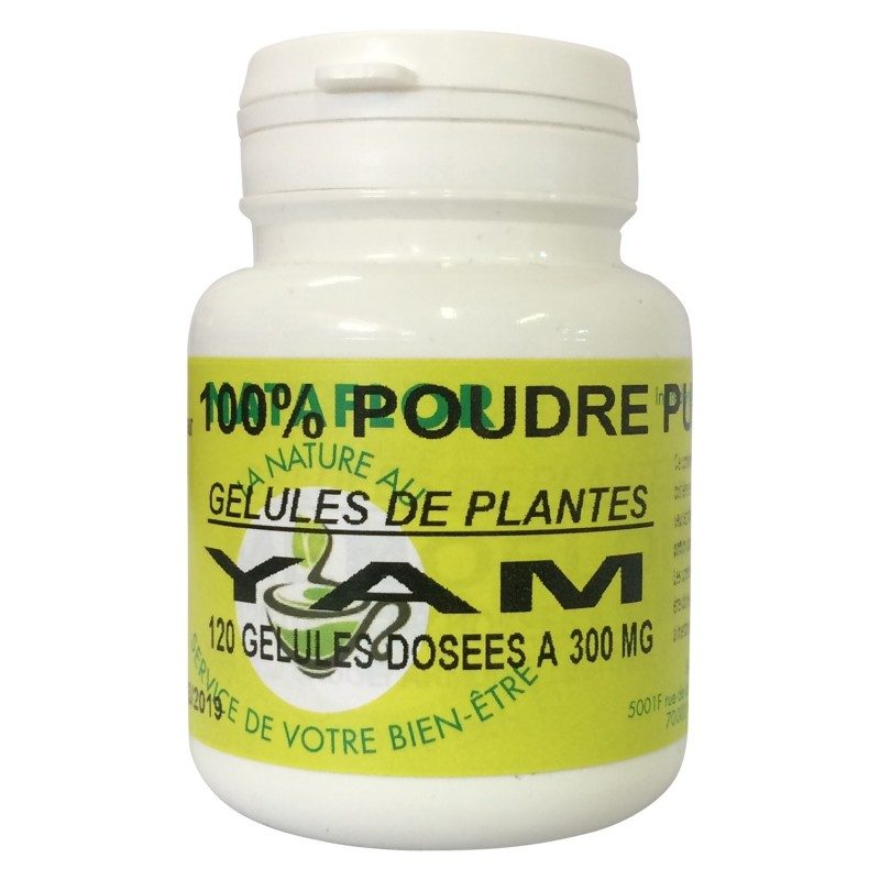 Gélules Ginkgo Biloba 250 Mg - France Herboristerie - Boîte Neuve
