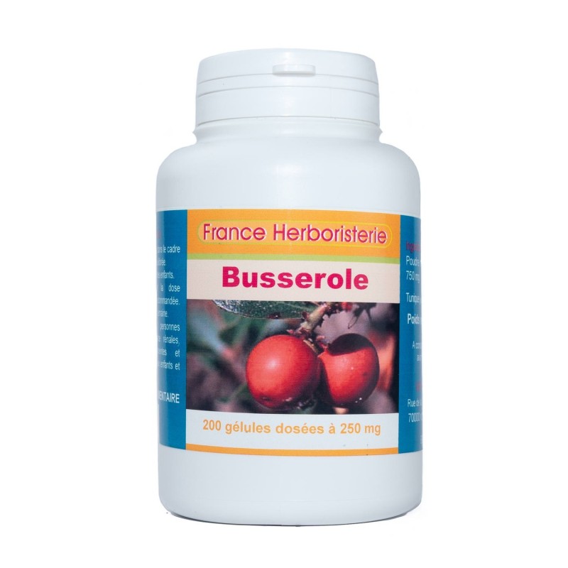 200 Gélules De Mélisse Feuille 250 Mg - Relaxation, Sommeil, France Herboristerie, Produit Naturel Neuf