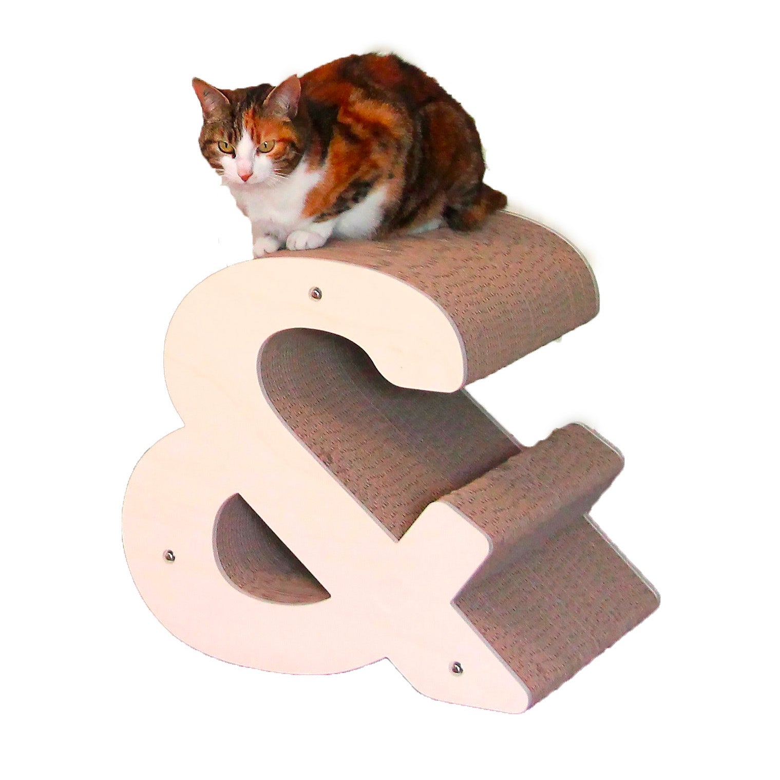 Homycat - Griffoir - Esperluette & - Format XL - en kit