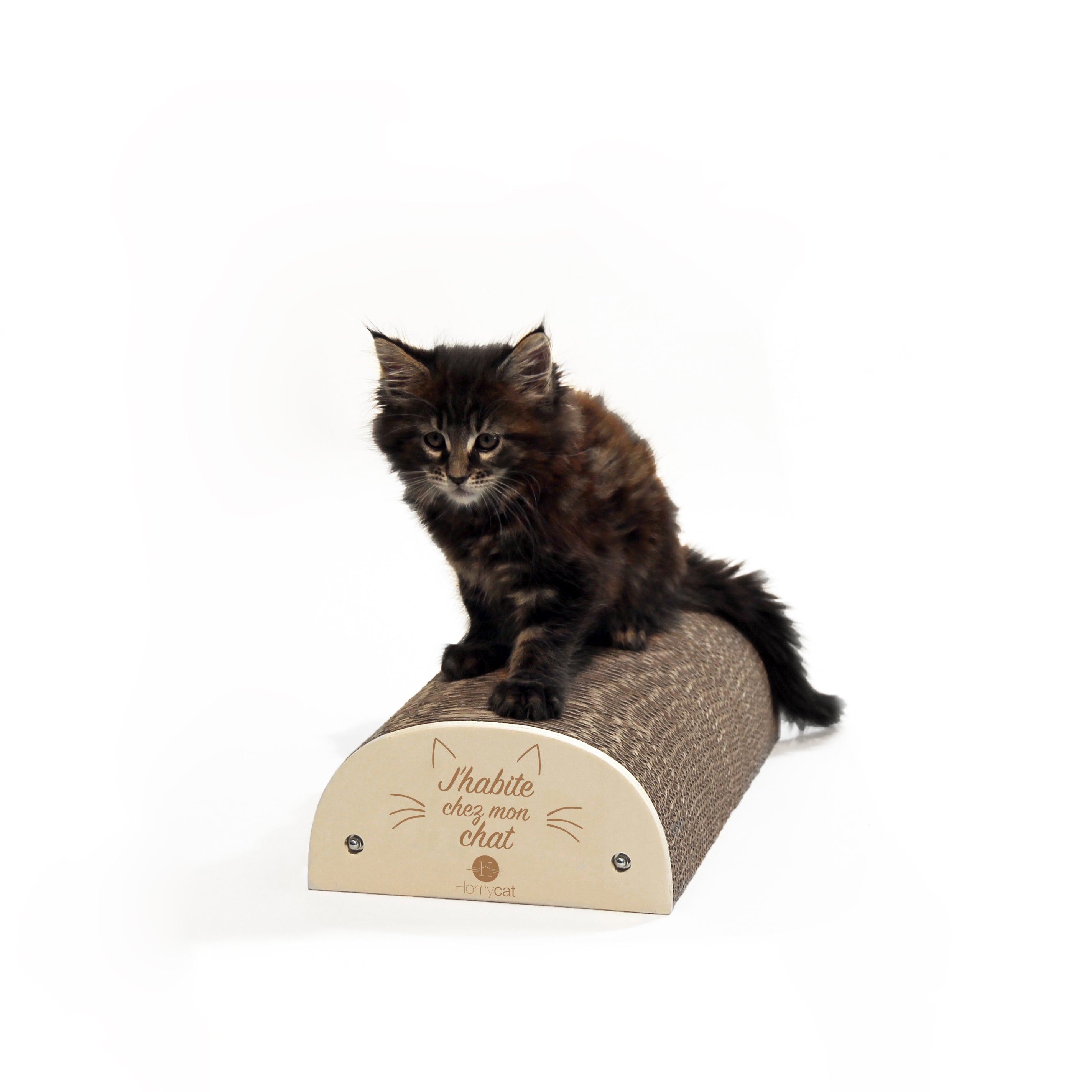 Homycat - Griffoir rechargeable J'habite chez mon chat EN KIT