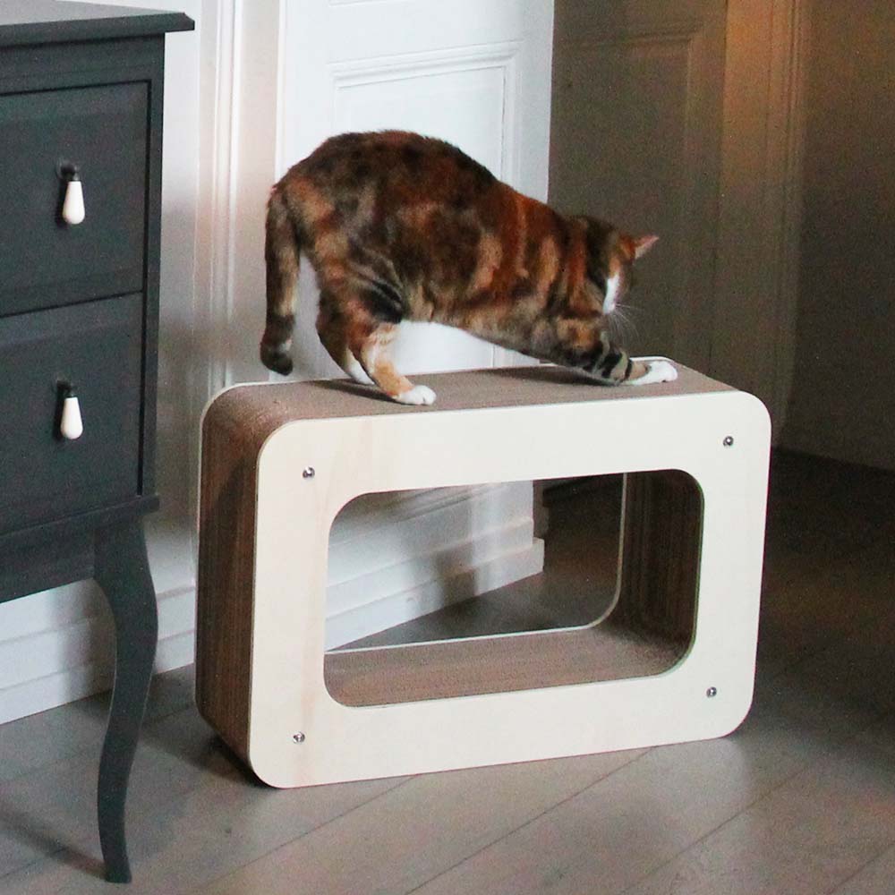 Homycat - Griffoir rechargeable - Cadre - Format S - en kit