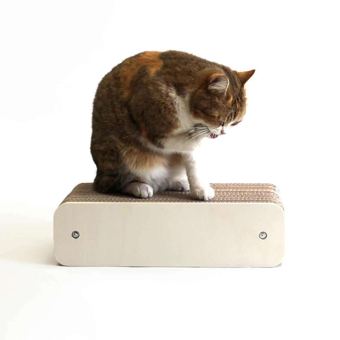 Homycat - Griffoir rechargeable - Lettre i - Format S - en kit