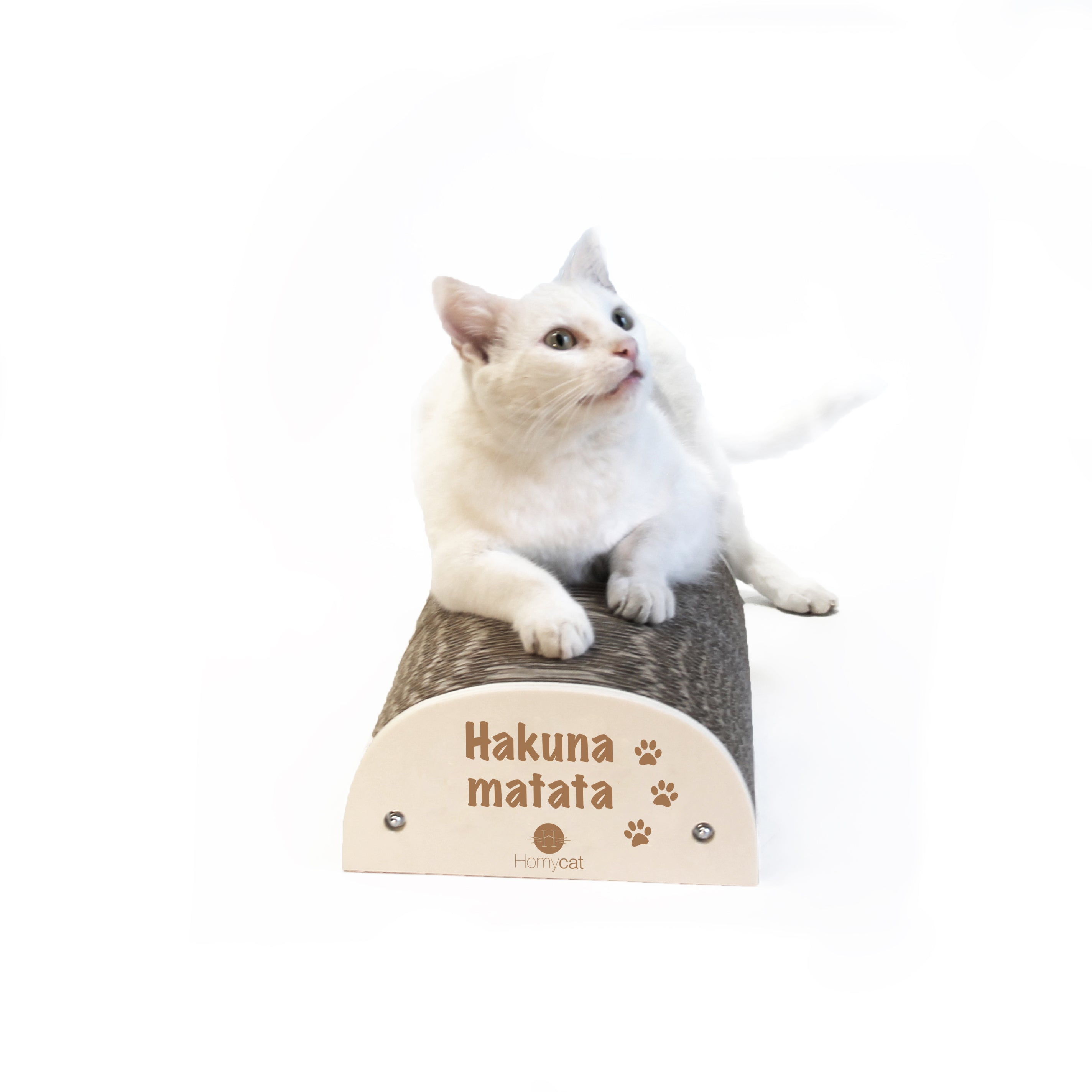 Homycat - Griffoir rechargeable Hakuna Matata déjà ASSEMBLÉ