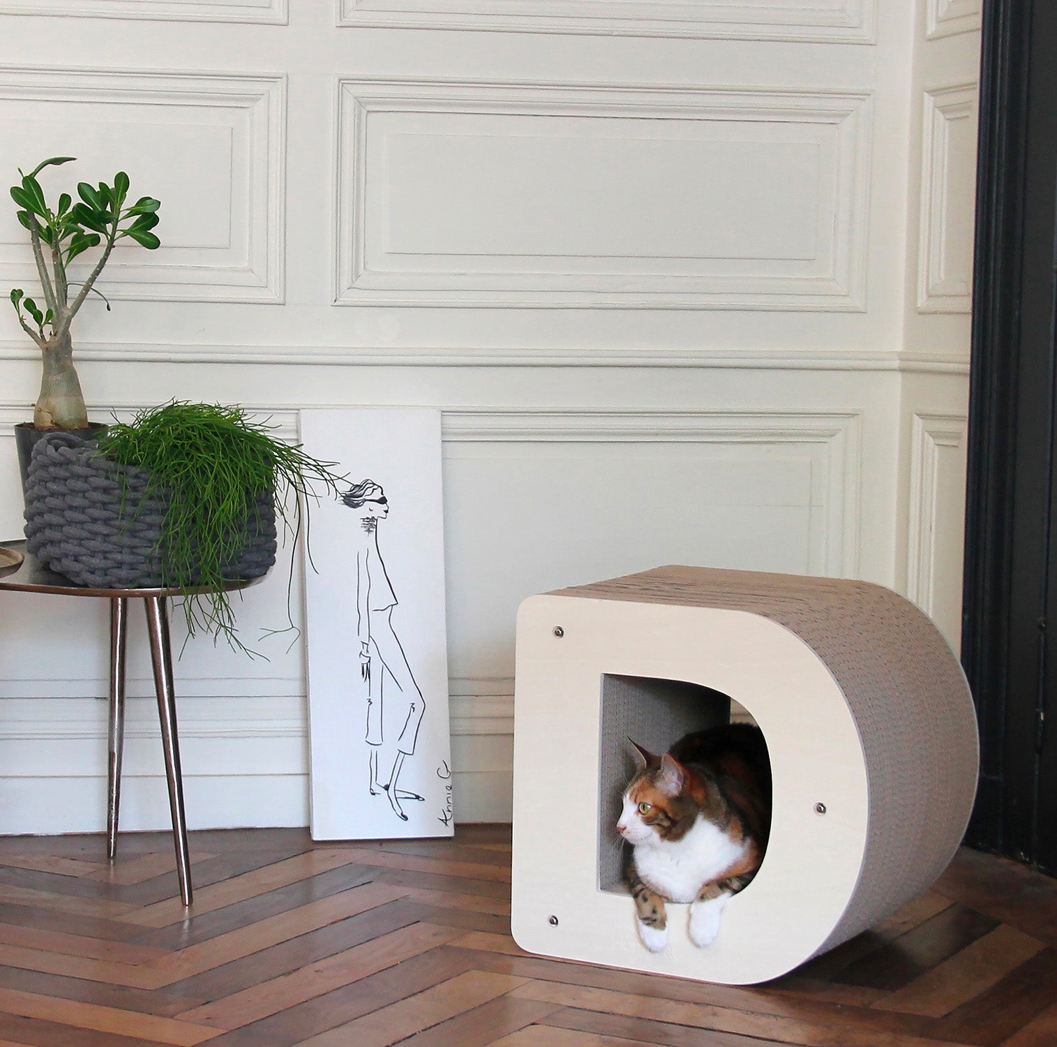 Homycat - Griffoir lettre D - XL