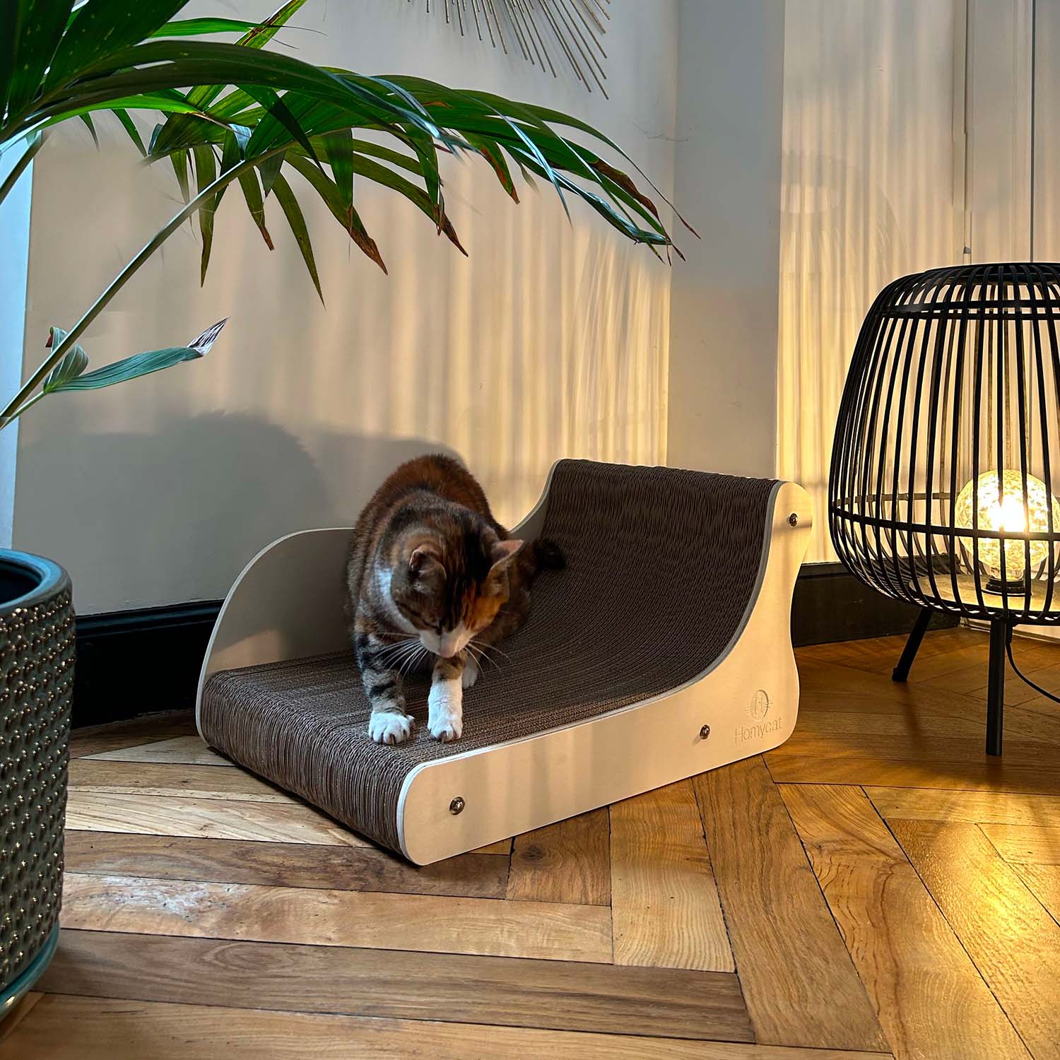 Homycat - Griffoir canapé - XL