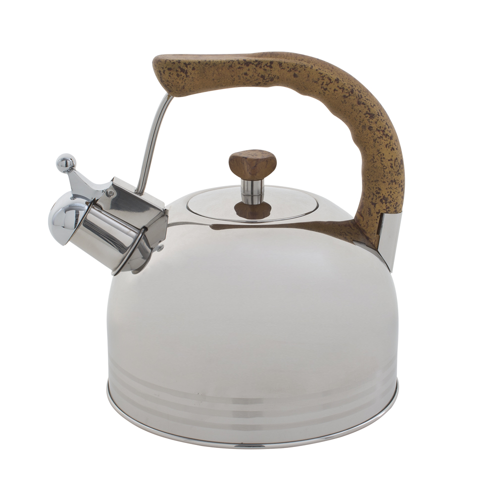 Bouilloire De 1 L En Acier Inoxydable Pour Cuisinière À Gaz, Induction Et Plaques Électriques