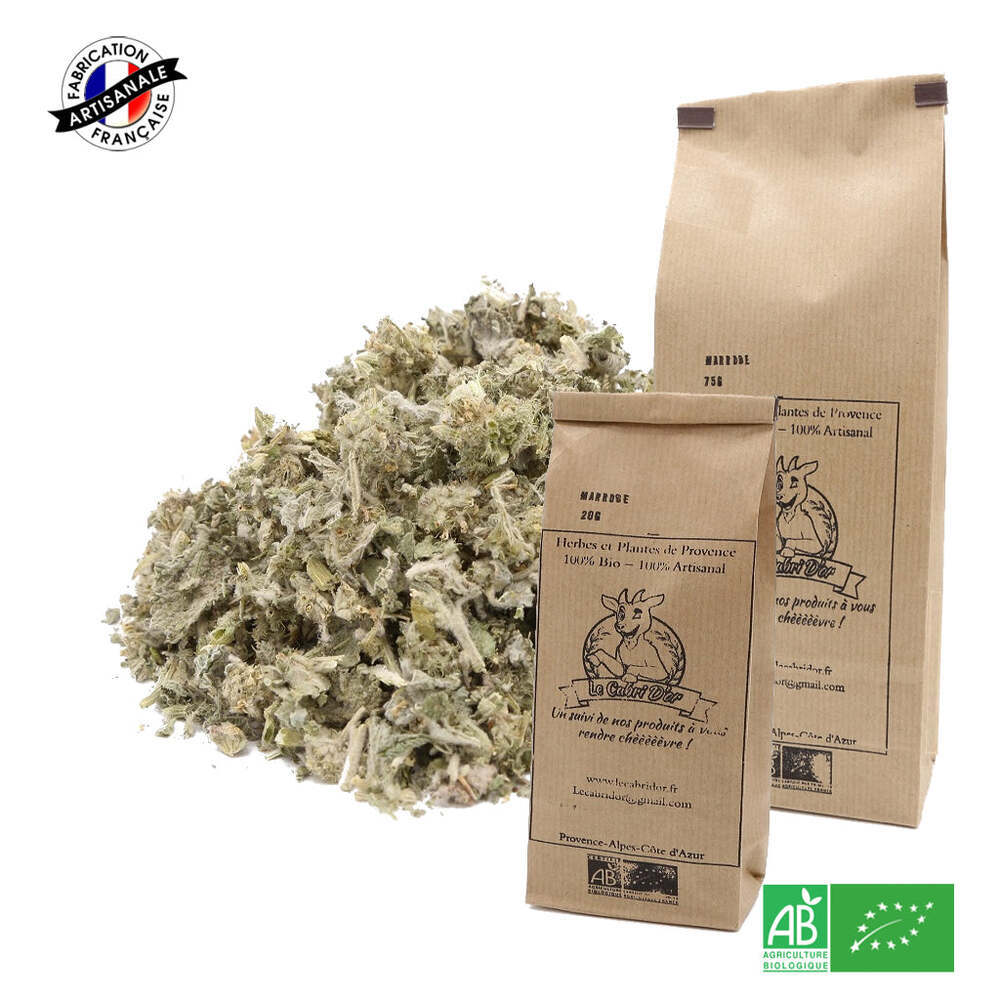 Feuilles D'une Marrubium Vulgare Ou D'une Plante Blanche De L'horehound